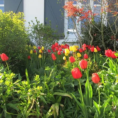 Le Bois Rene Bed & Breakfast Calais